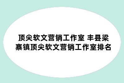 顶尖软文营销工作室 丰县梁寨镇顶尖软文营销工作室排名